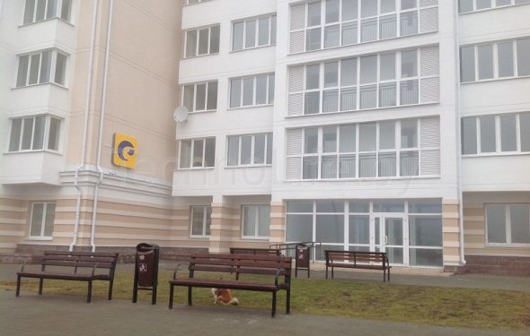 Монтаж спутниковой тарелки в